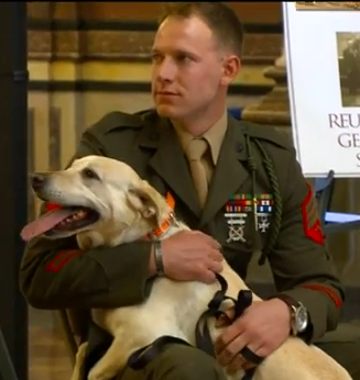 Wisconsin marine reunited with dog he served with in Afghanistan
