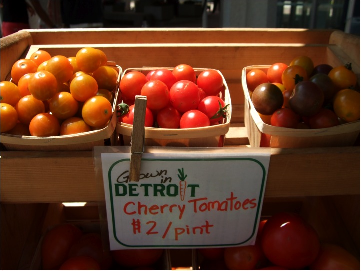 Keep Growing Detroit cultivates more than fresh produce