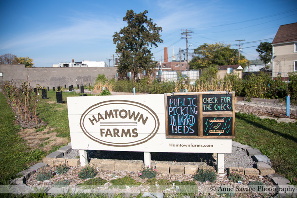 Update on Hamtramck’s urban farm Hamtown Farms and how YOU can help them purchase the land they’re on
