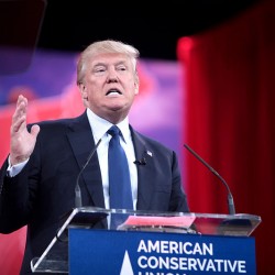 After Trump’s terrible two weeks, expect a ‘comeback’ but prepare for a landslide