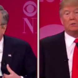 9 ways to not beat Donald Trump