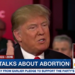 WARNING: This may be as unpopular as Trump will get