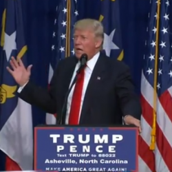 Trump and white nationalists have the same goal — normalizing extremism