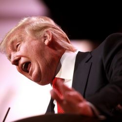 40,000 Americans could be alive if Trump had followed South Korea’s lead