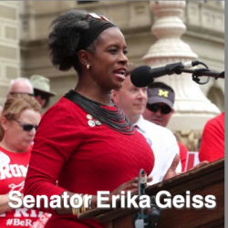 Trying to cling to the last shreds of power – with Michigan State Senator Erika Geiss