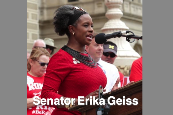 Trying to cling to the last shreds of power – with Michigan State Senator Erika Geiss - Vimarsana News